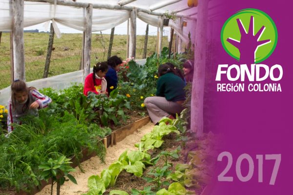 huerta buscando espacios